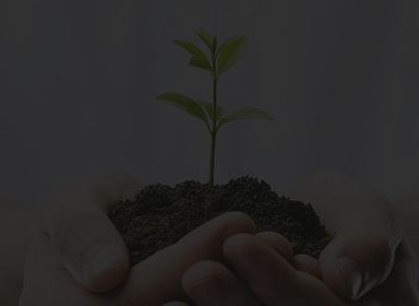 9888拉斯维加斯(中国游)官方网站