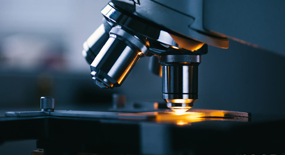 9888拉斯维加斯(中国游)官方网站